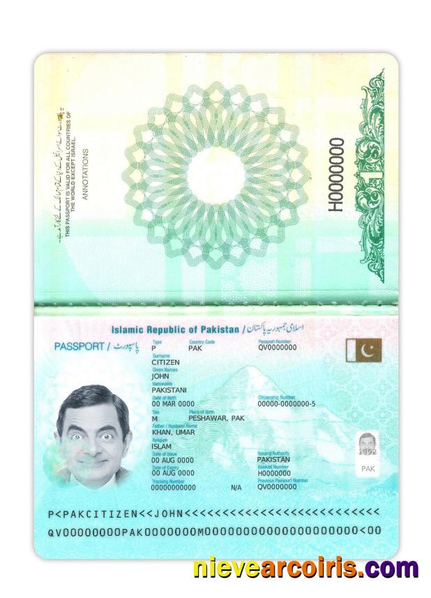 Pakistan passport 2023-present